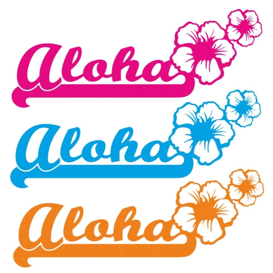 Aloha Hawaii Hibiskus Autoaufkleber Aufkleber Auto A199