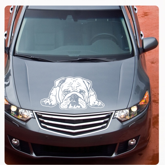 American Bulldog Bulldogge Autoaufkleber Auto Aufkleber Sticker A1714