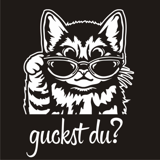 Autoaufkleber lustige Katze Kitty mit Brille guckst du? Auto Aufkleber Sticker A4213