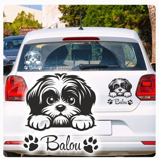 Autoufkleber Shi Tzu Sticker Aufkleber Hundeaufkleber A3111