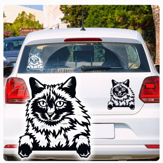 Balinesen Katze Kitty Auto Aufkleber Autoaufkleber Sticker Aufkleber A1124