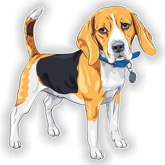 Autoaufkleber Beagle Auto Aufkleber Sticker Hund Pfoten  Digitaldruck DA169