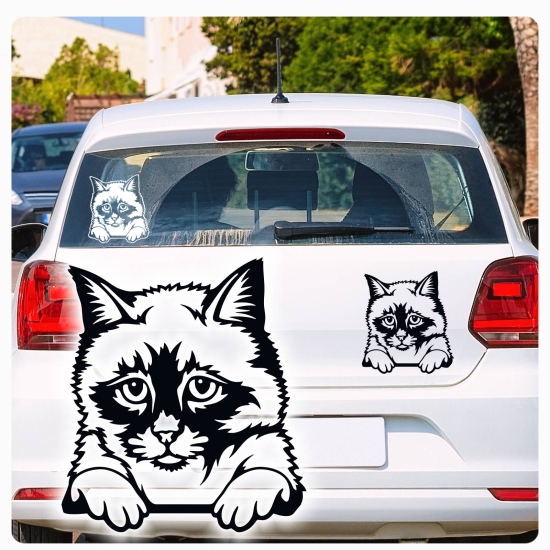 Birma Katze Kitty Auto Aufkleber Autoaufkleber Sticker Aufkleber A1139