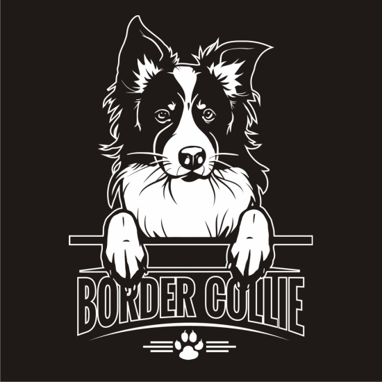 Border Collie Sticker Auto Aufkleber Hundeaufkleber A644