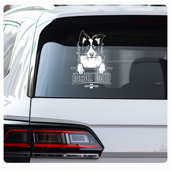 Border Collie Sticker Auto Aufkleber Hundeaufkleber A644