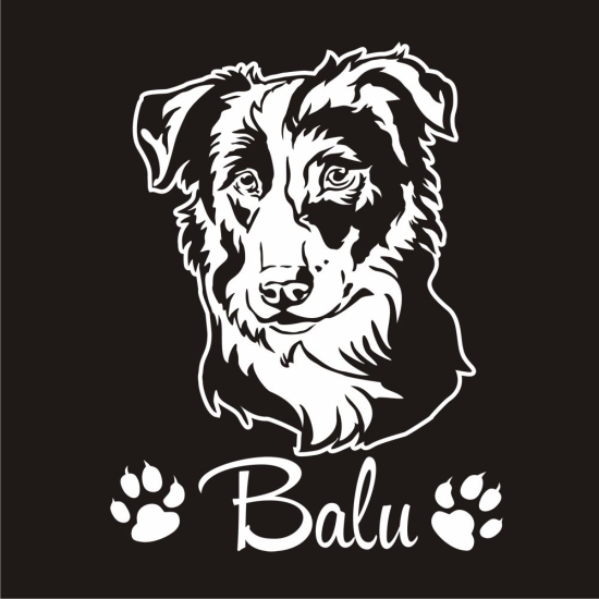 Hundeaufkleber Border Collie Name Pfoten Sticker Autoaufkleber Aufkleber A255