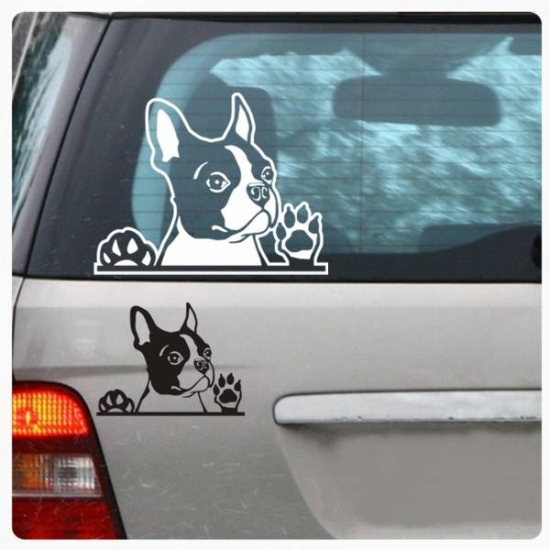 Boston Terrier Auto Aufkleber Hundeaufkleber Sticker Pfote A635