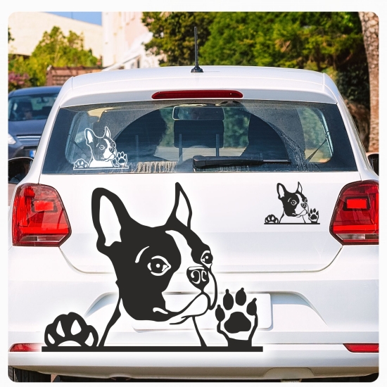 Boston Terrier Auto Aufkleber Hundeaufkleber Sticker Pfote A635