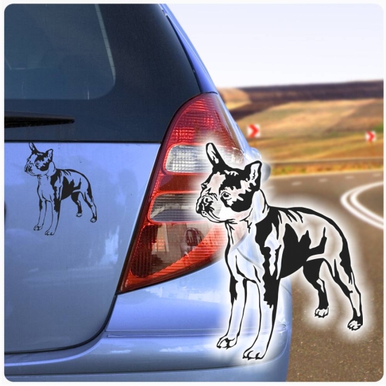 Auto Aufkleber Boston Terrier Sticker Hunde Hundeaufkleber A451