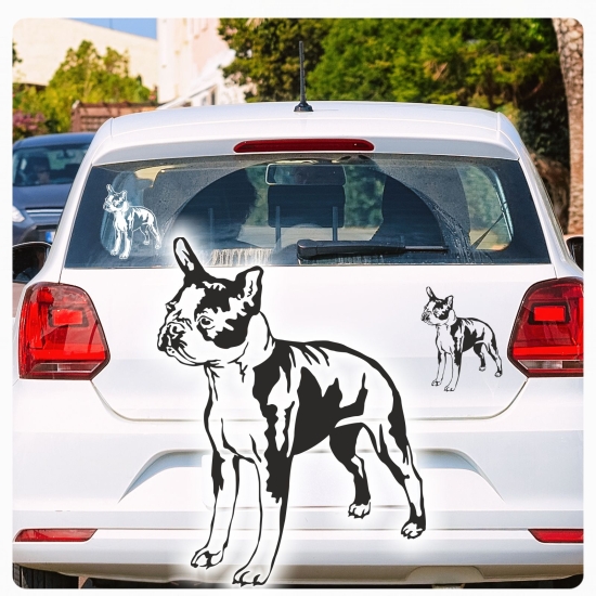 Auto Aufkleber Boston Terrier Sticker Hunde Hundeaufkleber A451