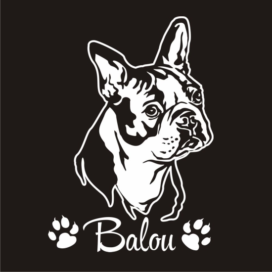 Auto Aufkleber Boston Terrier Name  Sticker Hunde Hundeaufkleber A450