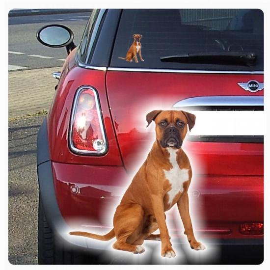Autoaufkleber Boxer Hundeaufkleber Sticker Digitaldruck Auto Aufkleber DA016