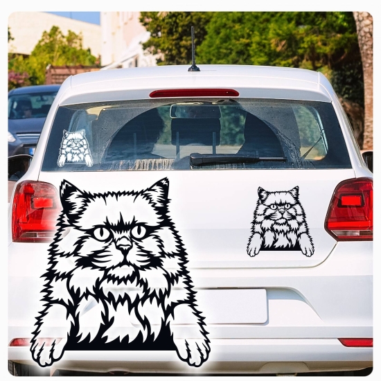 Britisch Langhaar Katze Kitty Auto Aufkleber Autoaufkleber Sticker Aufkleber A1141