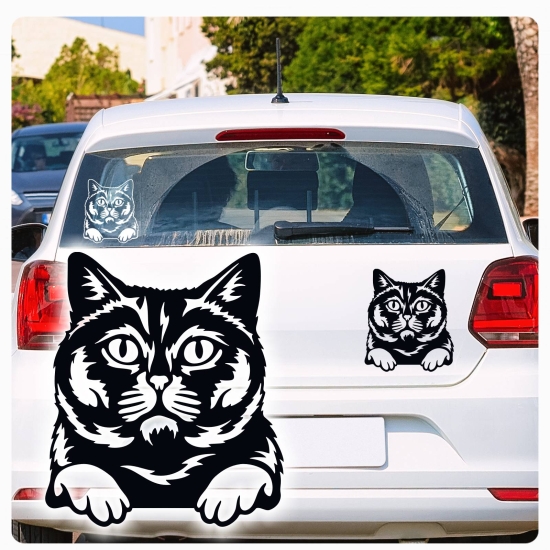 Britisch Kurzhaar Katze Kitty Auto Aufkleber Autoaufkleber Sticker Aufkleber A1142