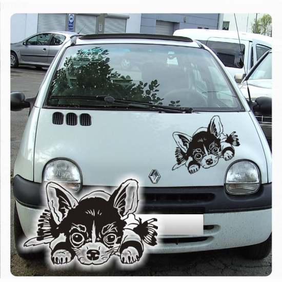 Auto Aufkleber Chihuahua Autoaufkleber Hunde Sticker A1815