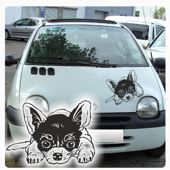 Auto Aufkleber Chihuahua Autoaufkleber Hund Pfoten Sticker A4044