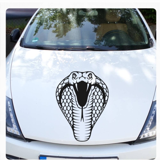 Auto Aufkleber Schlange Cobra Snake Tribal Autoaufkleber Sticker