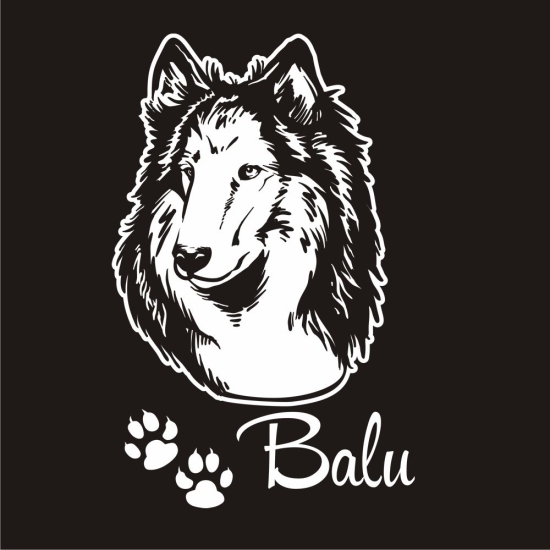 Hundeaufkleber Collie Auto Aufkleber Autoaufkleber Sticker A269