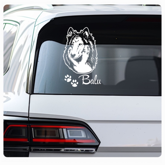 Hundeaufkleber Collie Auto Aufkleber Autoaufkleber Sticker A269
