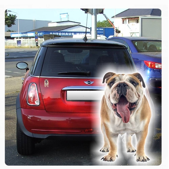 Englische Bulldogge Autoaufkleber Auto Aufkleber Sticker Digitaldruck DA2018