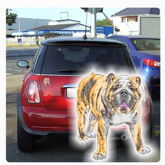 Englische Bulldogge Autoaufkleber Auto Aufkleber Sticker Digitaldruck DA2019