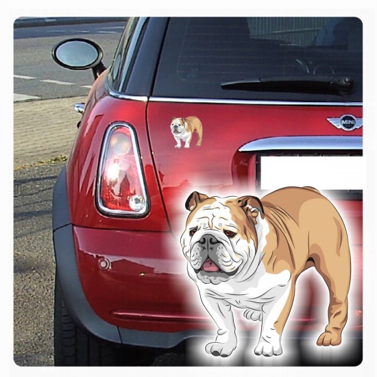 Englische Bulldogge Auto Aufkleber Hund Pfoten Sticker Digitaldruck DA520