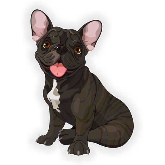 Autoaufkleber Französische Bulldogge Auto Aufkleber Hund Digitaldruck DA513