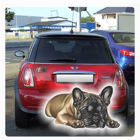 Autoaufkleber Französische Bulldogge Auto Aufkleber Sticker Digitaldruck DA026