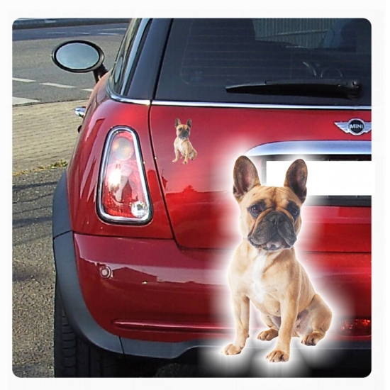 Autoaufkleber Französische Bulldogge Sticker Digitaldruck Auto Aufkleber DA2007