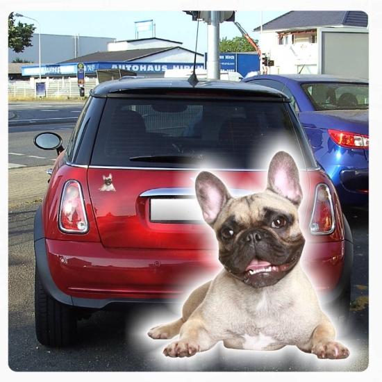 Autoaufkleber Französische Bulldogge Auto Aufkleber Sticker Digitaldruck DA2016