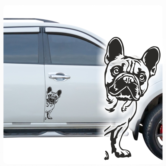 Französische Bulldogge schaut um die Ecke Autoaufkleber Aufkleber Sticker A4262