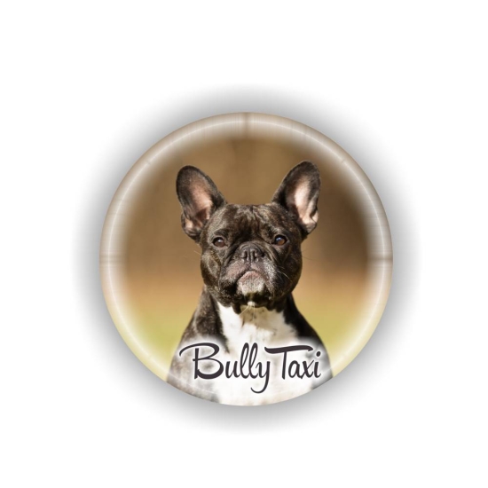 Autoaufkleber Französische Bulldogge Auto Aufkleber Bully Taxi DA001