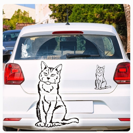 Hauskatze Katze Kitty Auto Aufkleber Autoaufkleber Sticker Aufkleber A1229