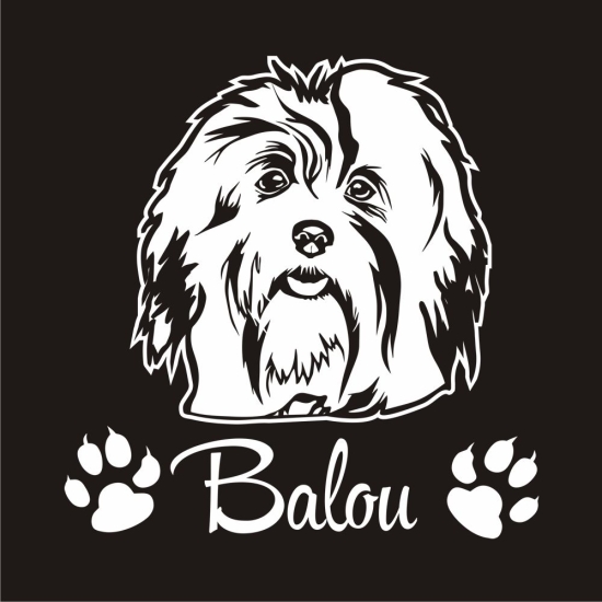 Hundeaufkleber Malteser Havaneser Bologneser Bolonka Autoaufkleber A363