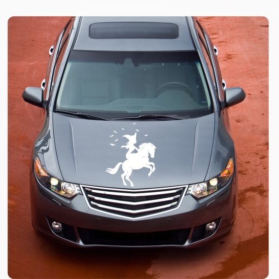 Hexe Sterne Fledermaus Autoaufkleber Aufkleber Sticker Auto Pferd A943