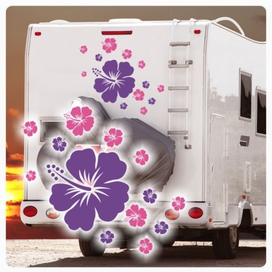 Hibiskus Blumen Blüten 2 farbig Wohnmobil Aufkleber Wohnwagen Caravan Sticker WoMo014