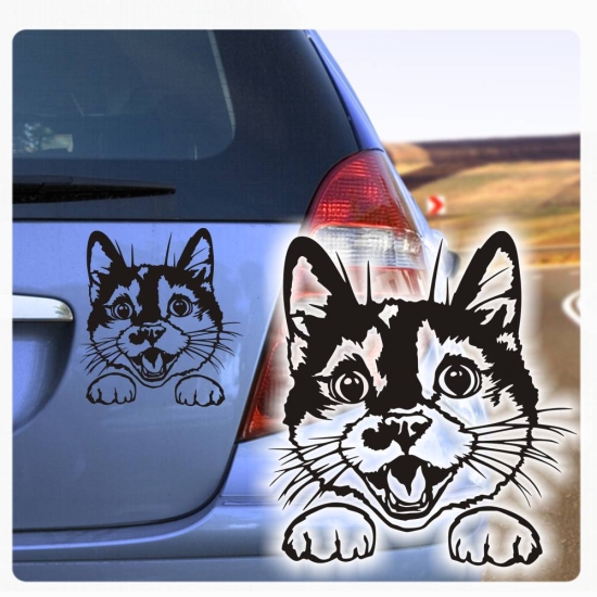 Auto Aufkleber Katze schaut raus Kätzchen Autoaufkleber clickstick A622