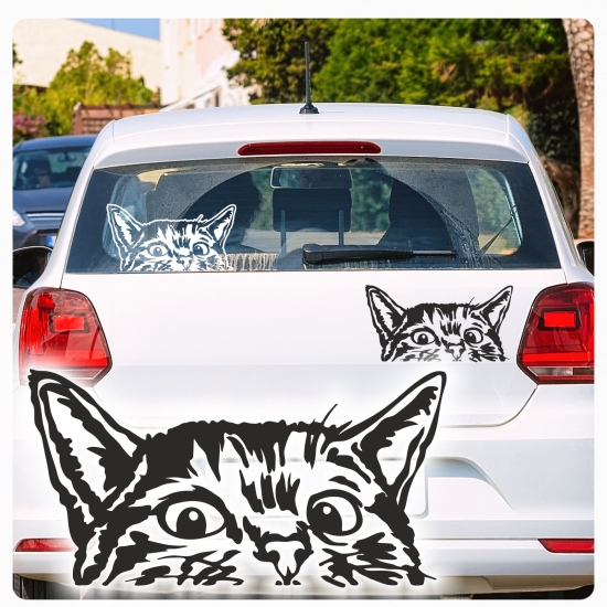 Auto Aufkleber Katze schaut raus Kätzchen Autoaufkleber clickstick A599