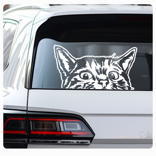 Auto Aufkleber Katze schaut raus Kätzchen Autoaufkleber clickstick A599