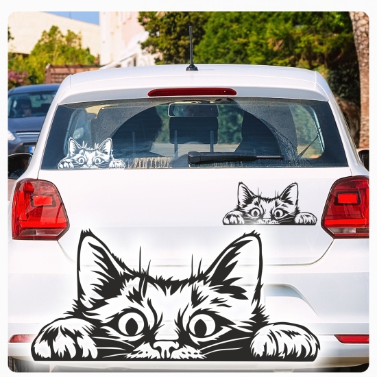 Auto Aufkleber Katze schaut raus Kätzchen Autoaufkleber clickstick A731