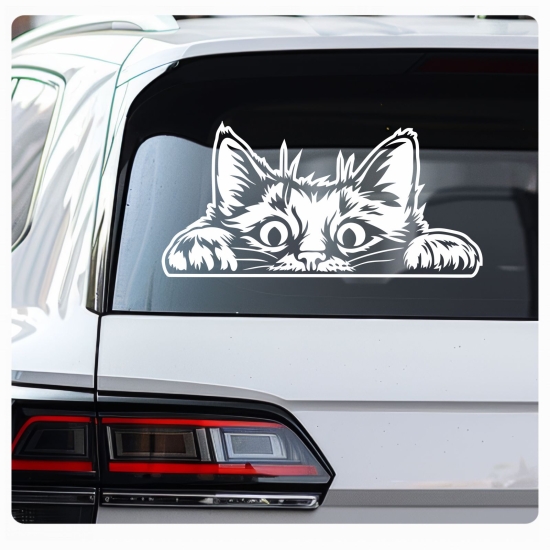 Preview: Auto Aufkleber Katze schaut raus Kätzchen Autoaufkleber clickstick A731