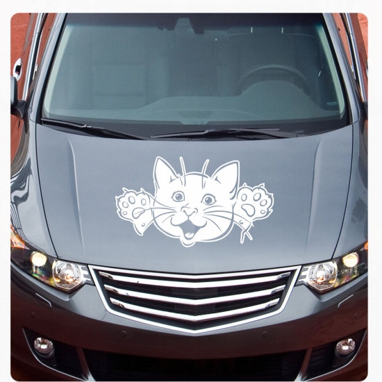 Katze Kätzchen Autoaufkleber Auto Aufkleber Sticker Tattoo A2065