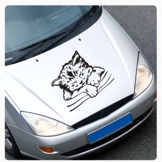 Katze Kätzchen Autoaufkleber Auto Aufkleber Motorhauben Sticker A225