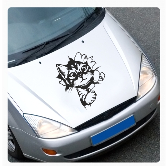 Katze Kitty schaut raus Auto Aufkleber Sticker Autoaufkleber A1727