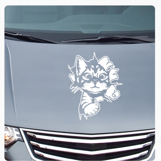 Preview: Katze Kitty schaut raus Auto Aufkleber Sticker Autoaufkleber A1727fkleber Sticker Autoaufkleber A3040
