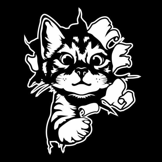 Katze Kitty schaut raus Auto Aufkleber Sticker Autoaufkleber A1727fkleber Sticker Autoaufkleber A3040