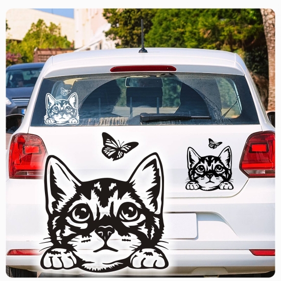 Katze Kitty Kätzchen Butterfly Pfoten Autoaufkleber Auto Aufkleber Sticker A858