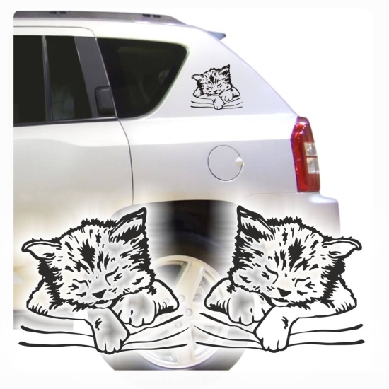 Tigerkatze Hauskatze Kitty Auto Aufkleber Autoaufkleber Sticker