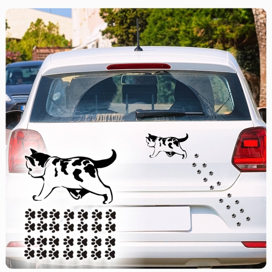Autoaufkleber Katze Kitty Pfoten Sticker Auto Aufkleber SET A1211