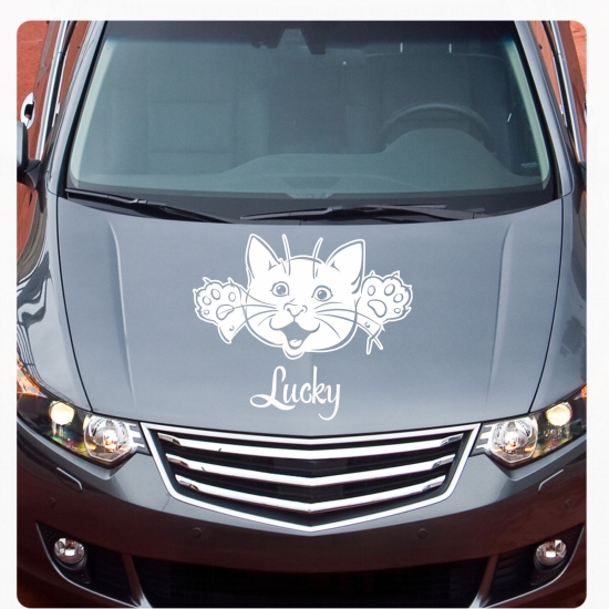 Autoaufkleber Name Katze Kätzchen Kitty Baby Pfoten Sticker Aufkleber Auto A607